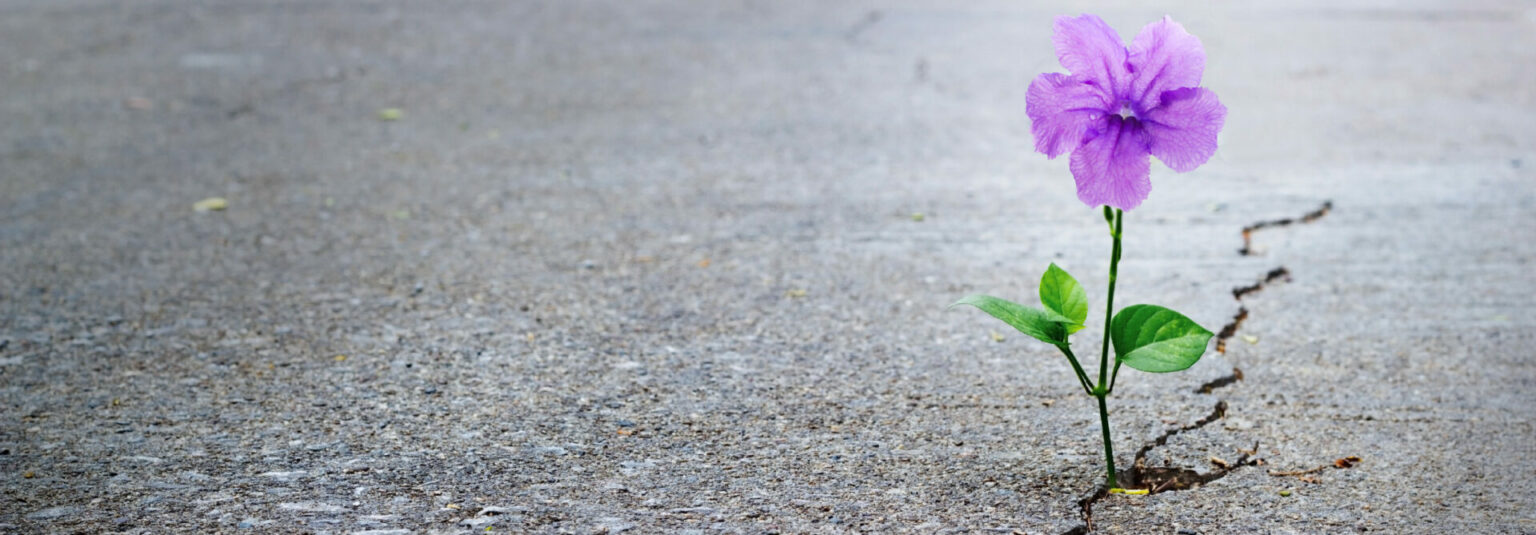 Rebuilding Family Relationships After Addiction Treatment
